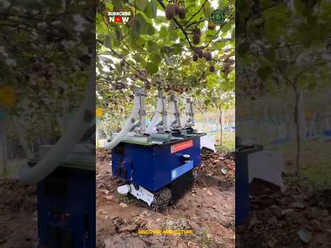 Kiwi Fruit Harvesting Robot Machine