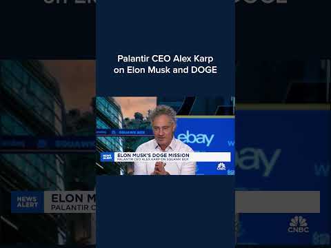 Palantir CEO Alex Karp on Elon Musk and DOGE